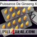 Ginseng Power X cialis2